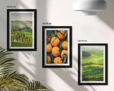 Moderne billedsæt italiensk landskab med appelsiner og natur