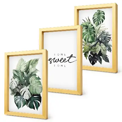 Billedsæt moderne motiver med grønne planter og teksten Sweet Home
