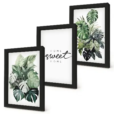 Billedsæt moderne motiver med grønne planter og teksten Sweet Home