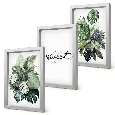 Billedsæt moderne motiver med grønne planter og teksten Sweet Home