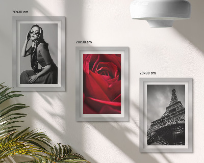 Moderne billedsæt Parisisk kvinde med rosenbriller og Eiffeltårnet
