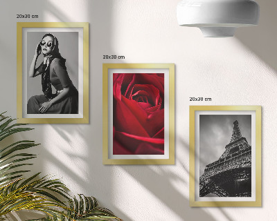 Moderne billedsæt Parisisk kvinde med rosenbriller og Eiffeltårnet
