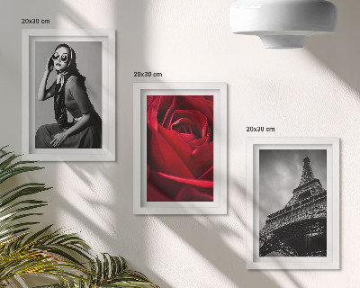 Moderne billedsæt Parisisk kvinde med rosenbriller og Eiffeltårnet