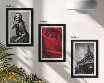 Moderne billedsæt Parisisk kvinde med rosenbriller og Eiffeltårnet