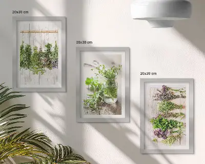 Tørring af urter og planter til køkkenet moderne billedsæt