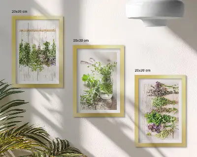 Tørring af urter og planter til køkkenet moderne billedsæt