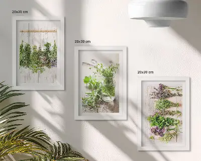 Tørring af urter og planter til køkkenet moderne billedsæt