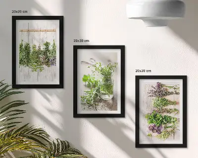 Tørring af urter og planter til køkkenet moderne billedsæt