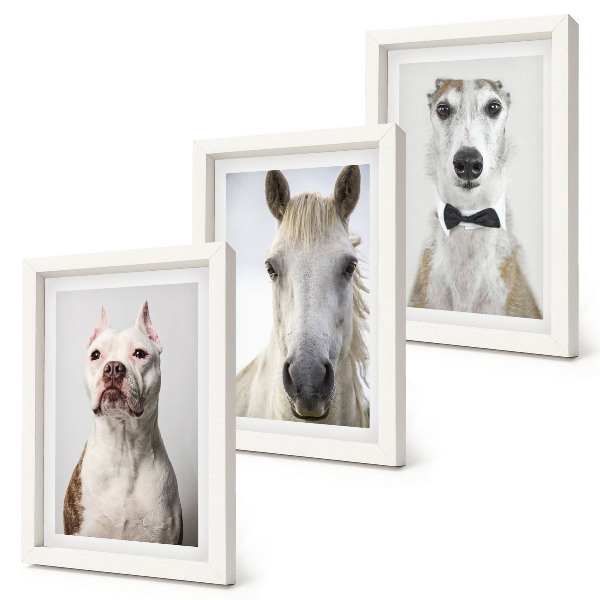 Billedvæg Interessante portrætter af hunde og heste i elegant stil