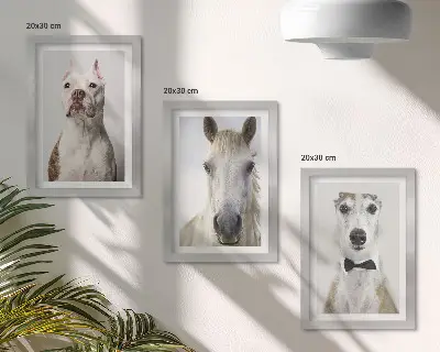 Billedvæg med elegante portrætter af hunde og heste