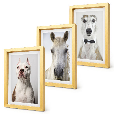 Billedvæg Interessante portrætter af hunde og heste i elegant stil