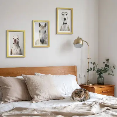 Billedvæg med elegante portrætter af hunde og heste