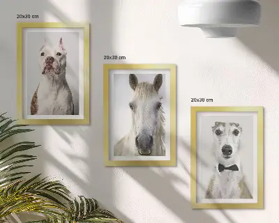 Billedvæg med elegante portrætter af hunde og heste