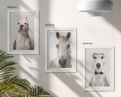 Billedvæg med elegante portrætter af hunde og heste