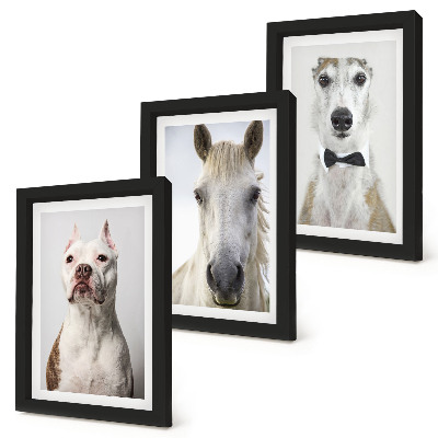 Billedvæg Interessante portrætter af hunde og heste i elegant stil