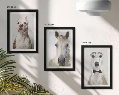 Billedvæg med elegante portrætter af hunde og heste