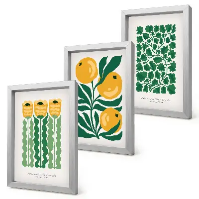 Plakatsæt med plantemønstre moderne billeder med blomster og blade