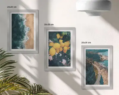 Billedrammer med naturtemaer sæt med motiver af hav strand citroner bjerge og kystveje