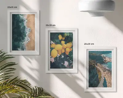 Billedrammer med naturtemaer sæt med motiver af hav strand citroner bjerge og kystveje