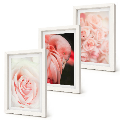 Moderne billedsæt Pastelrosa og flamingo i sarte nuancer