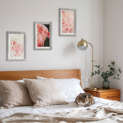 Moderne billedsæt Pastelrosa og flamingo i sarte nuancer