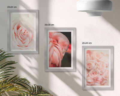 Moderne billedsæt Pastelrosa og flamingo i sarte nuancer