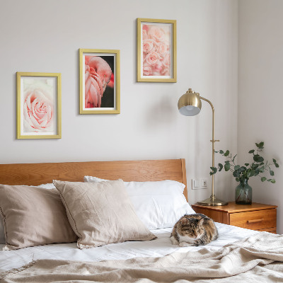 Moderne billedsæt Pastelrosa og flamingo i sarte nuancer