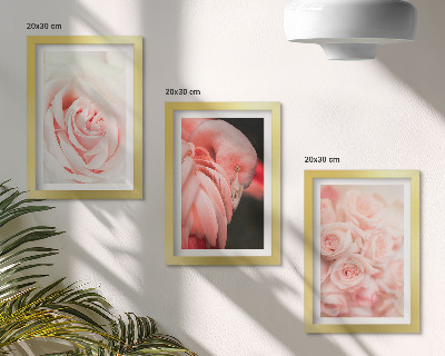 Moderne billedsæt Pastelrosa og flamingo i sarte nuancer