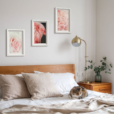 Moderne billedsæt Pastelrosa og flamingo i sarte nuancer
