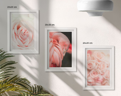 Moderne billedsæt Pastelrosa og flamingo i sarte nuancer