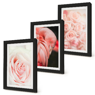 Moderne billedsæt Pastelrosa og flamingo i sarte nuancer