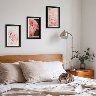 Moderne billedsæt Pastelrosa og flamingo i sarte nuancer