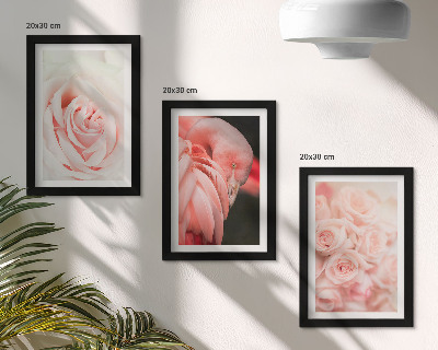 Moderne billedsæt Pastelrosa og flamingo i sarte nuancer