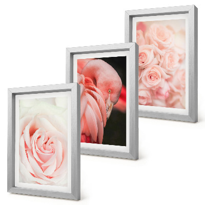 Moderne billedsæt Pastelrosa og flamingo i sarte nuancer