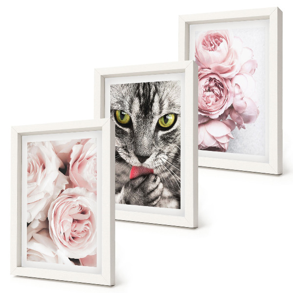 Billedvæg En kat blandt lyserøde blomster af roser og pæoner