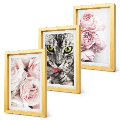 Billedvæg En kat blandt lyserøde blomster af roser og pæoner