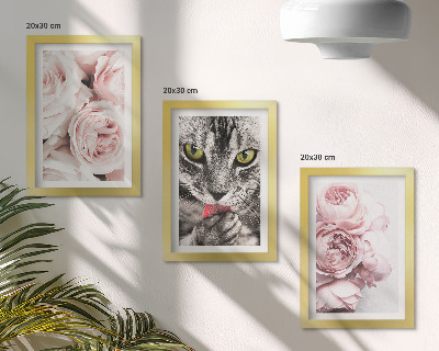 Billedvæg En kat blandt lyserøde blomster af roser og pæoner