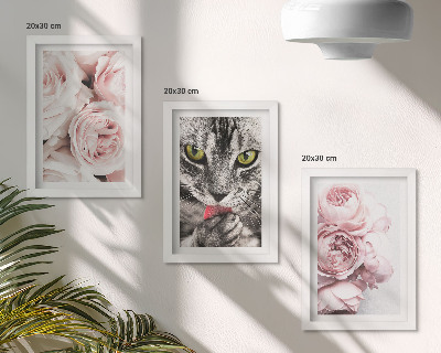 Billedvæg En kat blandt lyserøde blomster af roser og pæoner