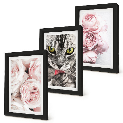 Billedvæg En kat blandt lyserøde blomster af roser og pæoner