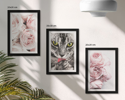 Billedvæg En kat blandt lyserøde blomster af roser og pæoner