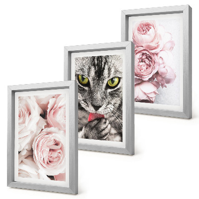 Billedvæg En kat blandt lyserøde blomster af roser og pæoner