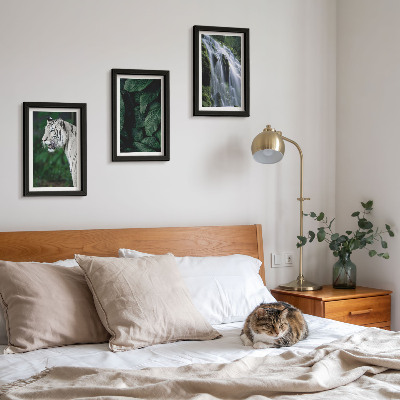 Billedvæg Hvide tigerblade og vandfald i naturlige omgivelser