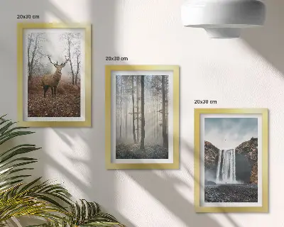 Moderne billedsæt med skovlandskaber af vild natur og hjorte