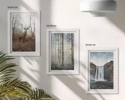 Moderne billedsæt med skovlandskaber af vild natur og hjorte
