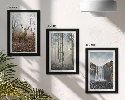 Moderne billedsæt med skovlandskaber af vild natur og hjorte