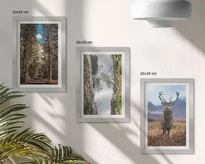 Billedvæg med motiv af vej i skoven, bjerge og hjorte i naturen