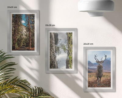 Billedvæg Vej i skoven, bjerge og hjorte i naturen