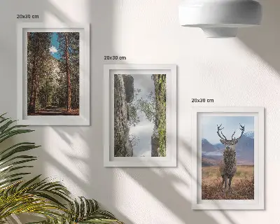 Billedvæg med motiv af vej i skoven, bjerge og hjorte i naturen