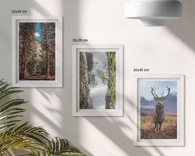 Billedvæg Vej i skoven, bjerge og hjorte i naturen