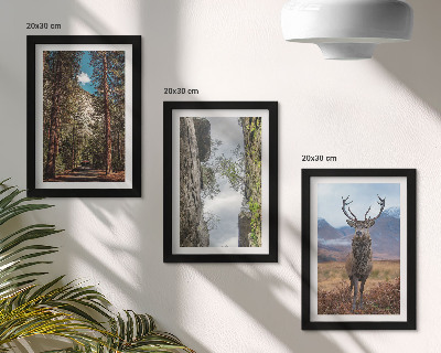 Billedvæg Vej i skoven, bjerge og hjorte i naturen